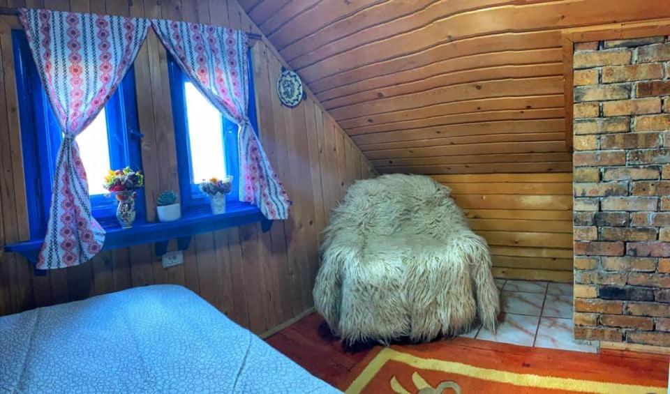Casuta Mariei Villa Borsa  Bagian luar foto